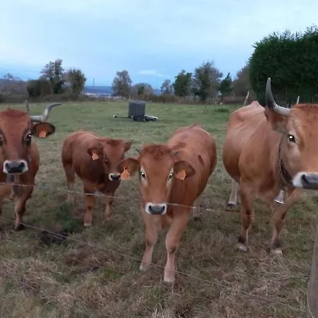 Casa Con En El Casero * Oviedo