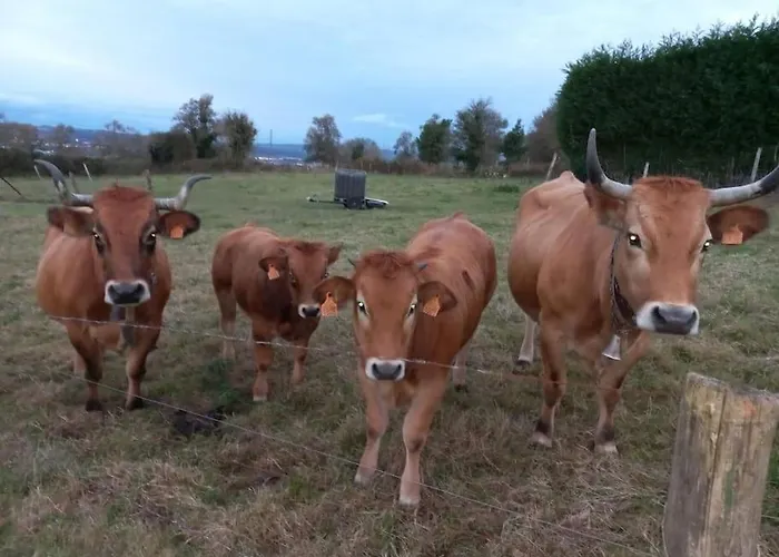 Casa Con En El Casero * Oviedo